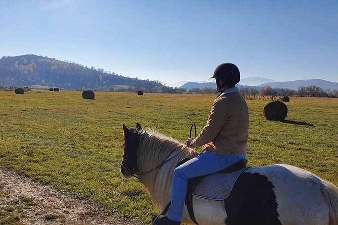 Horseback riding adventure tour through Brasov landscape - Price, privacy, and who gets the best value