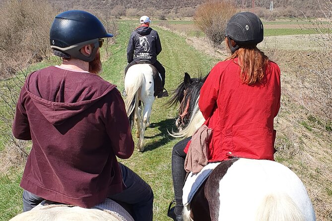 Horseback riding adventure tour through Brasov landscape - Weather, cancellation, and practical limits