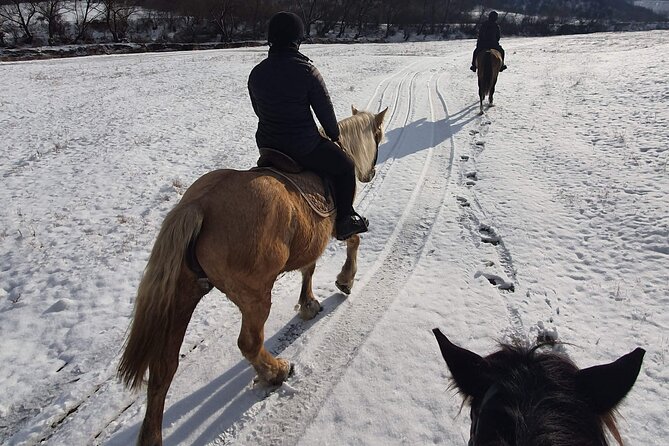 Horseback riding adventure tour through Brasov landscape - Choosing the right horse and pace