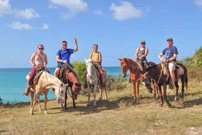 Horseback riding along Macao beach from Punta Cana - Key points at a glance
