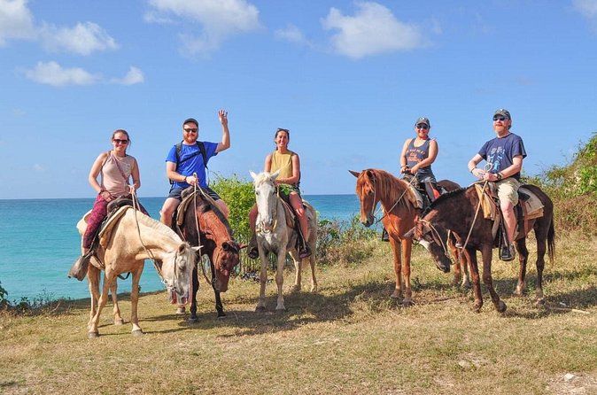 Horseback riding along Macao beach from Punta Cana - What the mixed feedback tells you