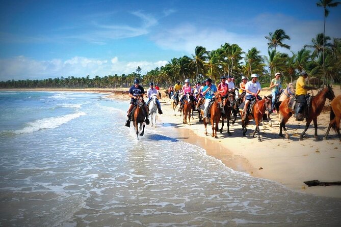 Horseback Riding along the Beach - What the one-hour ride is likely to feel like