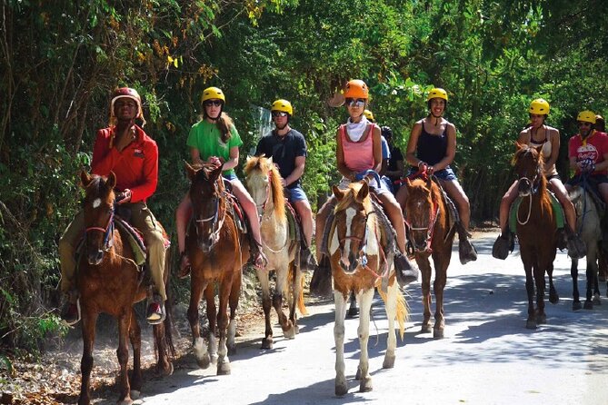 Horseback Riding along the Beach - The comfort of air-conditioned transport