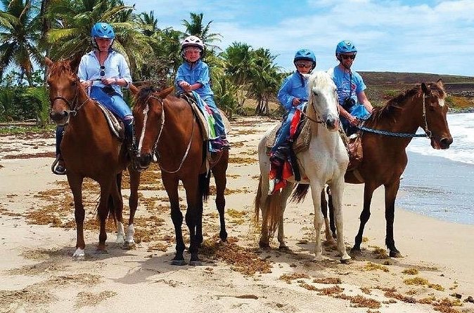Horseback Riding along the Beach - The guide’s role matters here