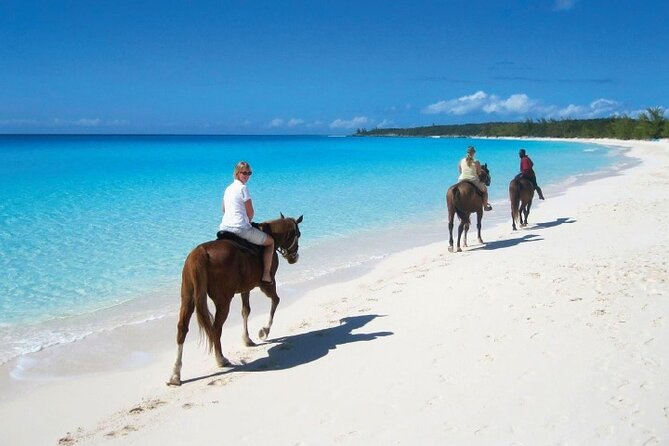 Horseback Riding along the Beach - A two-day format that needs clarification