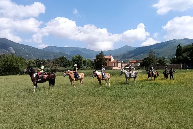 Horseback riding and aperitif 2 hours for beginners - Starting at Centro Ippico La Cartuja in Calci