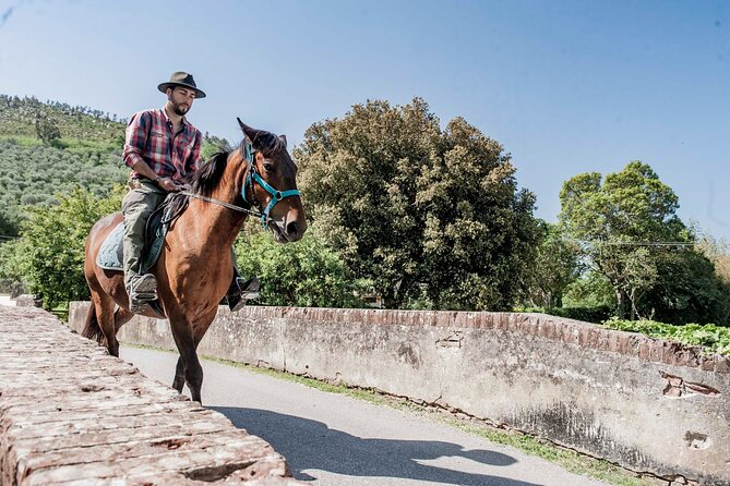 Horseback riding and aperitif 2 hours for beginners - Returning for wine, cheese, and salami