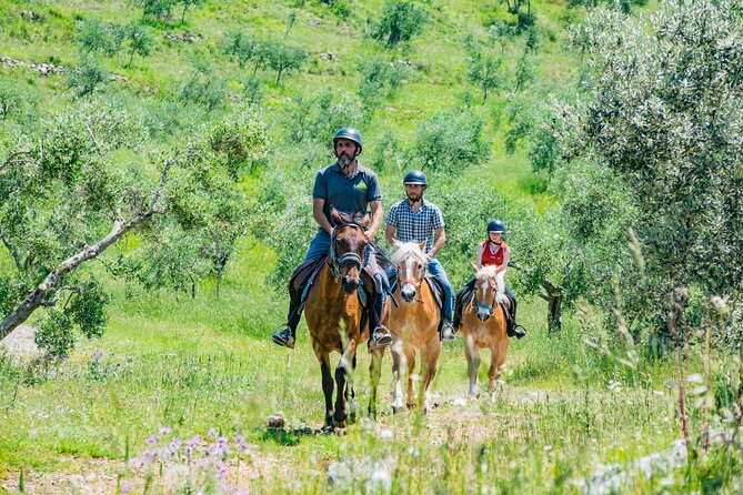 Horseback riding and aperitif 2 hours for beginners - Through the woods and across the stream