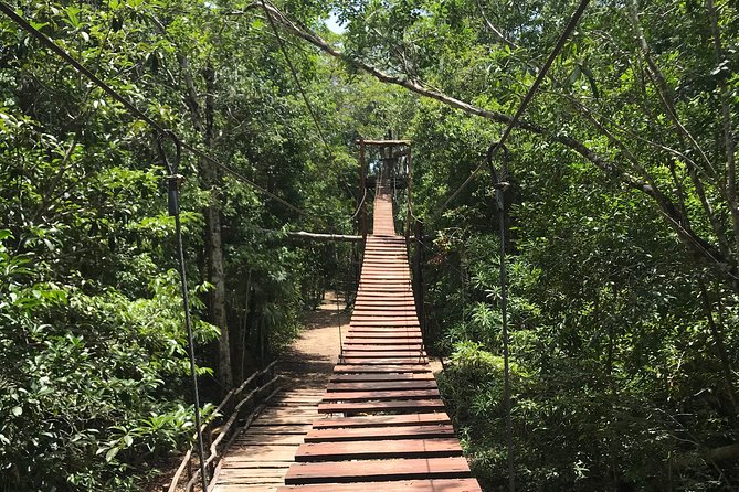 Horseback riding and ATV in the jungle, Ziplines, Cenote & Lunch - How the five-hour schedule feels