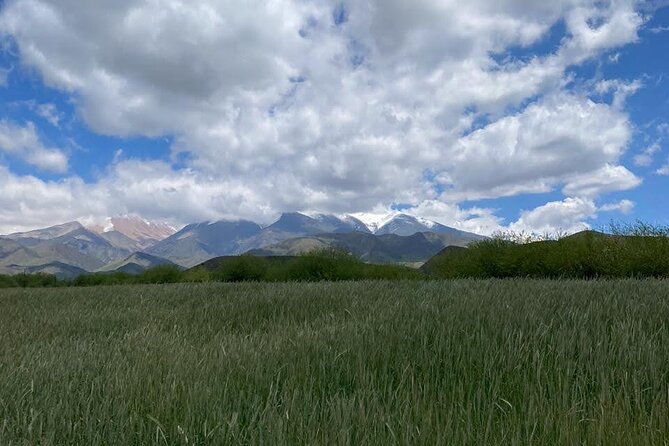 Horseback riding and barbecue in a private ranch - La Carrera, Mendoza - Two-and-a-half hours on well-kept Criollo horses
