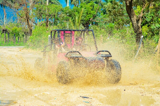 Horseback Riding and Buggy and Macau Cave and Beach Tour - The casa típica and Dominican tasting