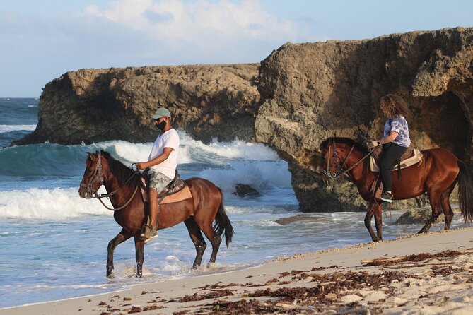 Horseback Riding and Natural Pool Adventure in Aruba - At a glance: what makes this Aruba outing special