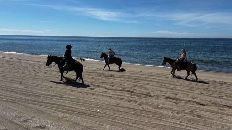 Horseback riding and Temazcal combo with lunch and mezcal - The village and the zipline question