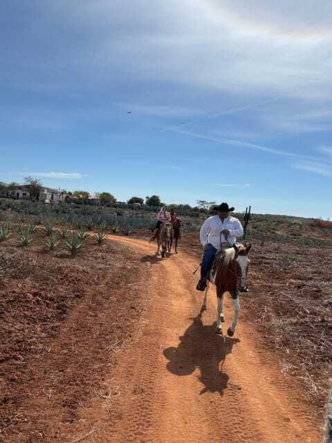 Horseback riding and Temazcal combo with lunch and mezcal - Lunch with machaca and handmade tortillas