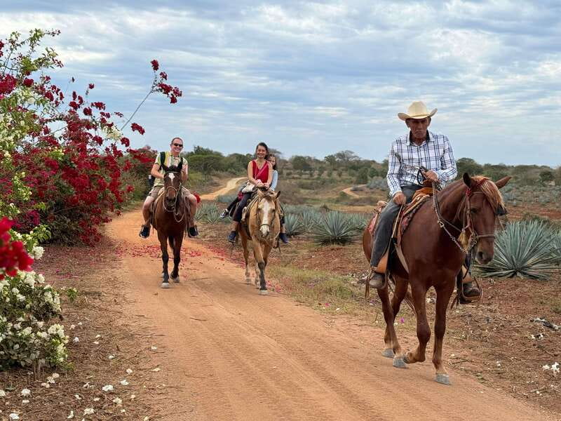 Horseback riding and Temazcal combo with lunch and mezcal - Mud, herbs, steam, and the temazcal