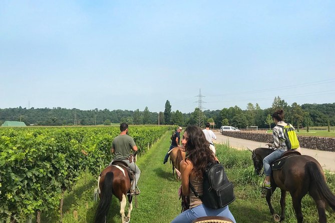 Horseback riding and wine tasting - Key points at a glance