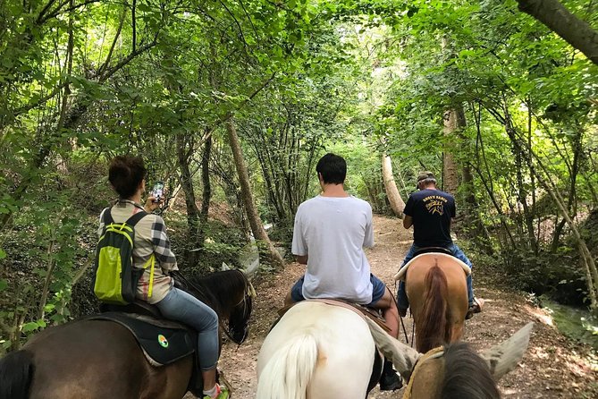 Horseback riding and wine tasting - Inside the family-run winery