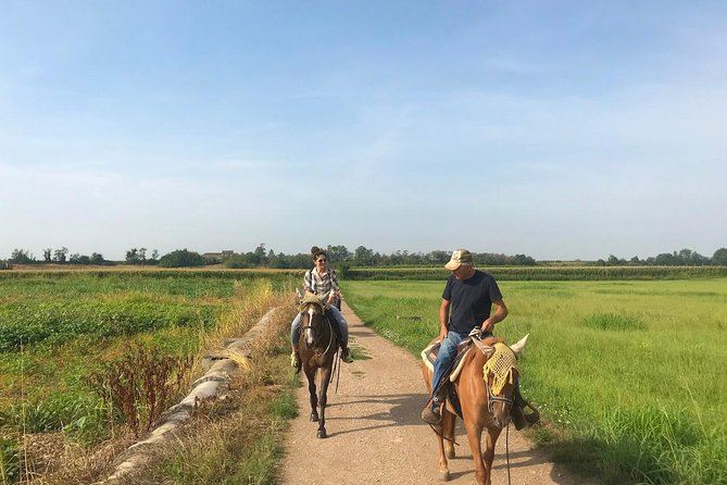 Horseback riding and wine tasting - Is $190.63 a fair price?