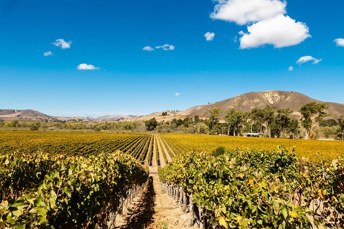 Horseback Riding and Wine Tasting Tour - Timing, pickup, and the shape of the day