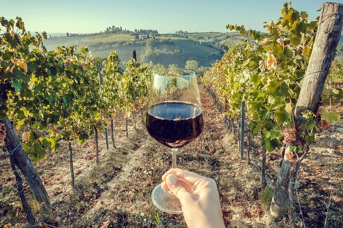 Horseback Riding and Wine Tasting Tour - Who will enjoy this tour most
