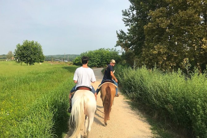 Horseback riding and wine tasting - Meeting the horses and preparing for the ride