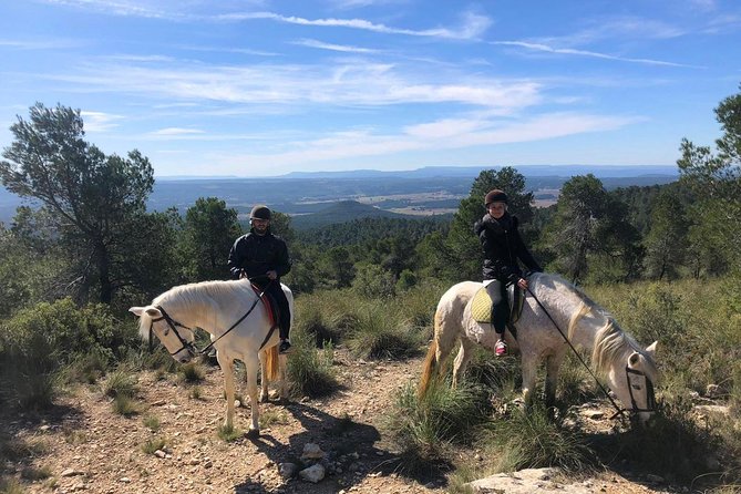 Horseback riding and wine tour (private tour) - Four things to know before you book