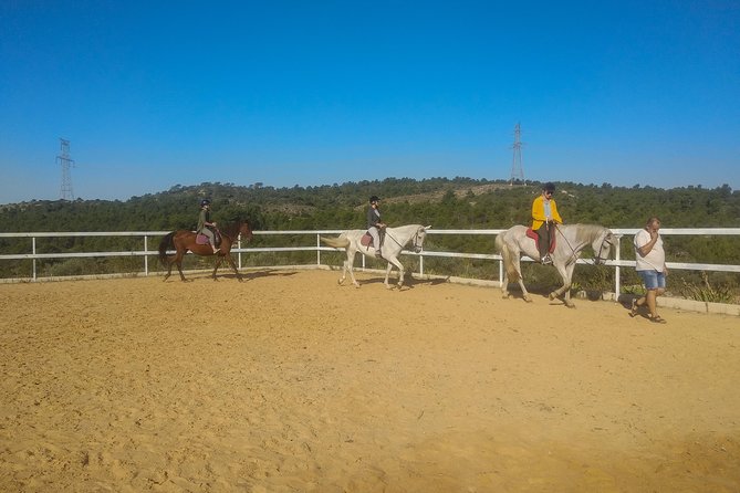 Horseback riding and wine tour (private tour) - Why the private format matters