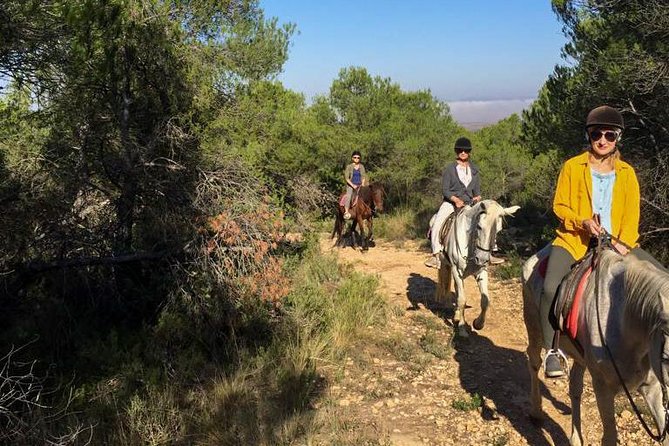 Horseback riding and wine tour (private tour) - Who will enjoy this day most
