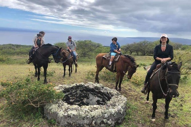 Horseback Riding and Wine Tours - Key points to know before booking