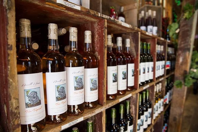 Horseback Riding and Wine Tours - Why this ride is different from a standard wine tour