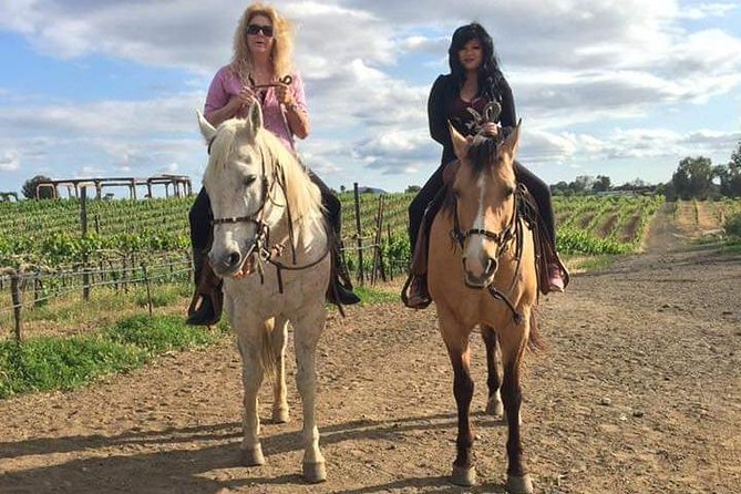 Horseback Riding and Wine Tours - Booking advice and the cancellation risk