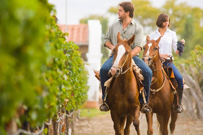Horseback Riding and Winery Lunch Experience in San Gimignano - Key details before you book