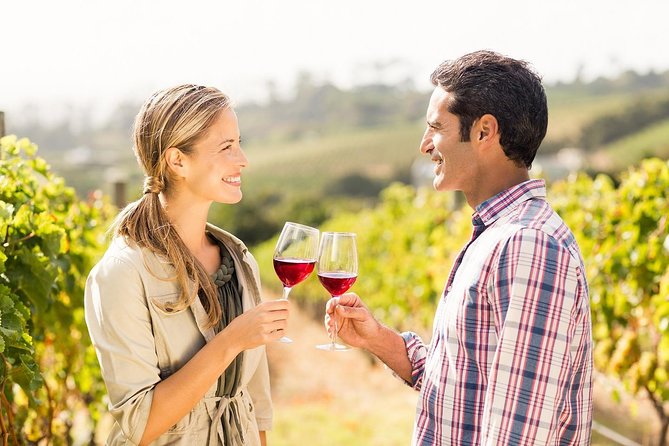 Horseback Riding and Winery Lunch Experience in San Gimignano - Meeting the horses near San Gimignano