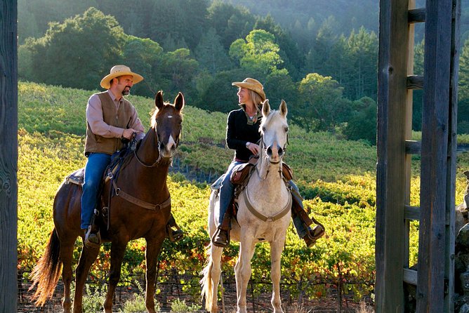 Horseback Riding and Winery Lunch Experience in San Gimignano - One hour through vineyards, woods, and old paths