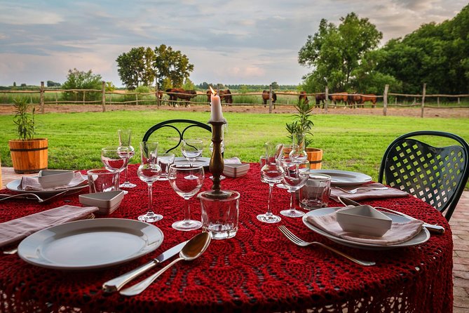 Horseback Riding and yurt stay in the Puszta, 1 hour morning ride - Arrival at the Southern Hungarian Puszta