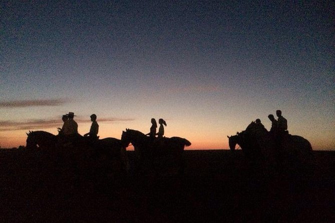 Horseback riding around Doñana National Park - Quick facts worth knowing