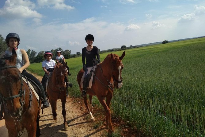 Horseback riding around Doñana National Park - Choosing a horse and getting comfortable