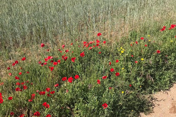 Horseback riding around Doñana National Park - A drink and a slower goodbye
