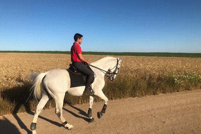 Horseback riding around Doñana National Park - Who will enjoy this most