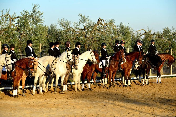 Horseback riding around Doñana National Park - Riding through olive groves and pine forest