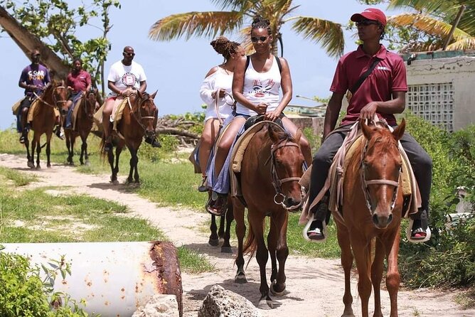 Horseback Riding at Hawksbill Beach in Five islands Antigua - Friendly horses, capable guides, and a basic stable