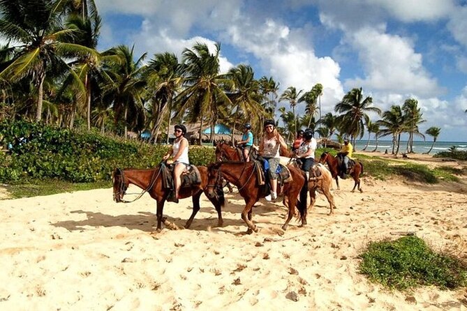 Horseback Riding at Macao Beach - Key Points Before You Book