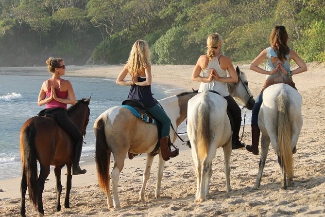 Horseback Riding at Macao Beach - Riding Along Macao Beach