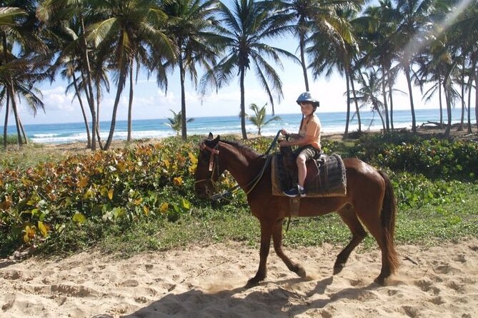 Horseback Riding at Macao Beach - Cigar and Mamajuana Tasting Along the Way