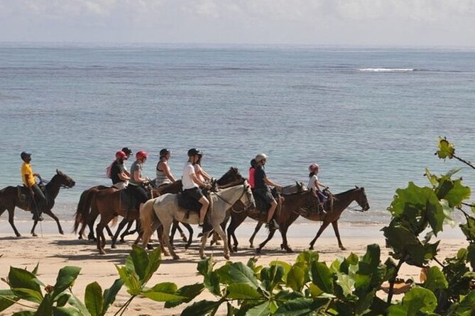 Horseback Riding at Macao Beach - Who Will Enjoy This Ride Most