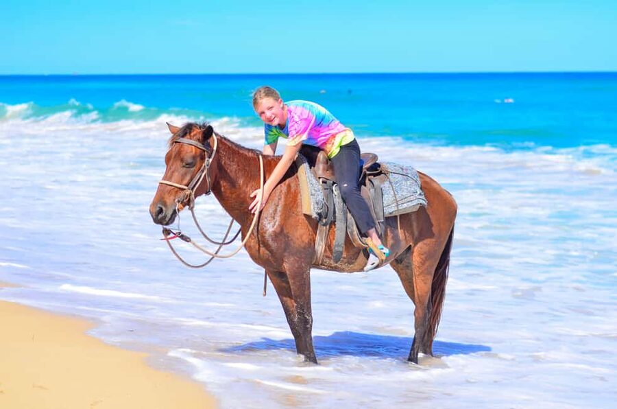 Horseback Riding at Macao Beach and River with Transfers - Key points at a glance