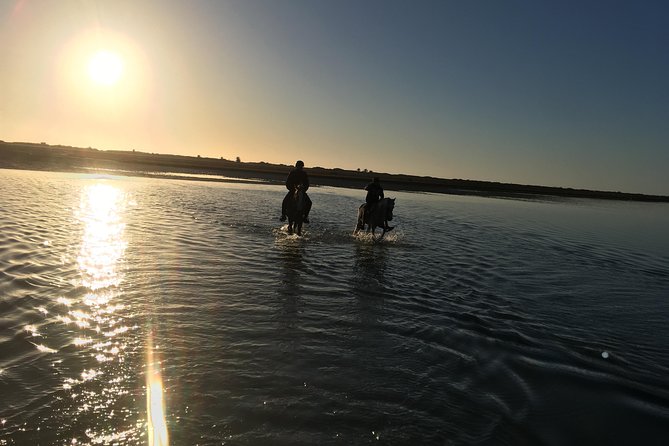 Horseback riding at sunrise 3h - Leaving Ranch Adada Djerba at 4:00 am