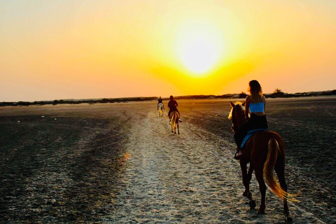 Horseback riding at sunrise 3h - The sunrise viewpoint and the three-hour format