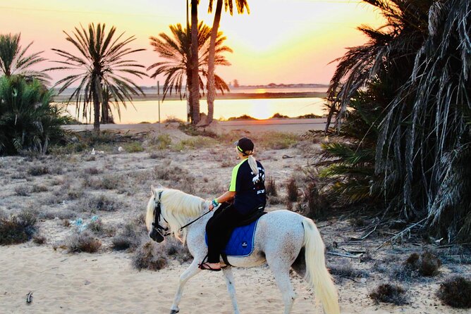 Horseback riding at sunrise 3h - Returning to the ranch after sunrise