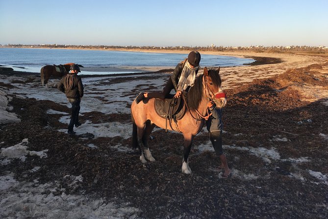 Horseback riding at sunrise 3h - Why the small group matters